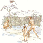 omgeving australopithecus