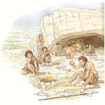 omgeving homo erectus
