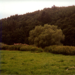 2002 - Bouillon