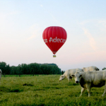 29_filip_daelman_luchtballon_gooik