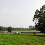 Landschap in Oetingen