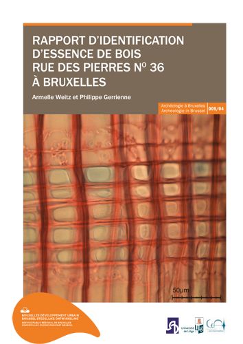 Kaft van Identificatierapport van houtsoorten in de Steenstraat nr. 36 in Brussel