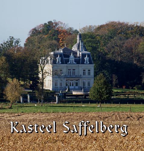 Kaft van Kasteel Saffelberg